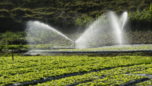 Agricultural-Water-Treatment