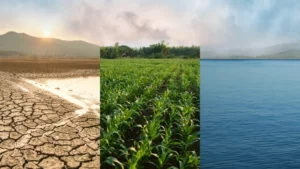 The-Impact-Of-Climate-Change-On-Water-Sources