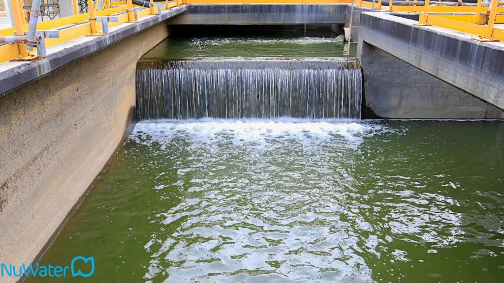 Treating Industrial Wastewater
