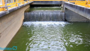 Treating Industrial Wastewater
