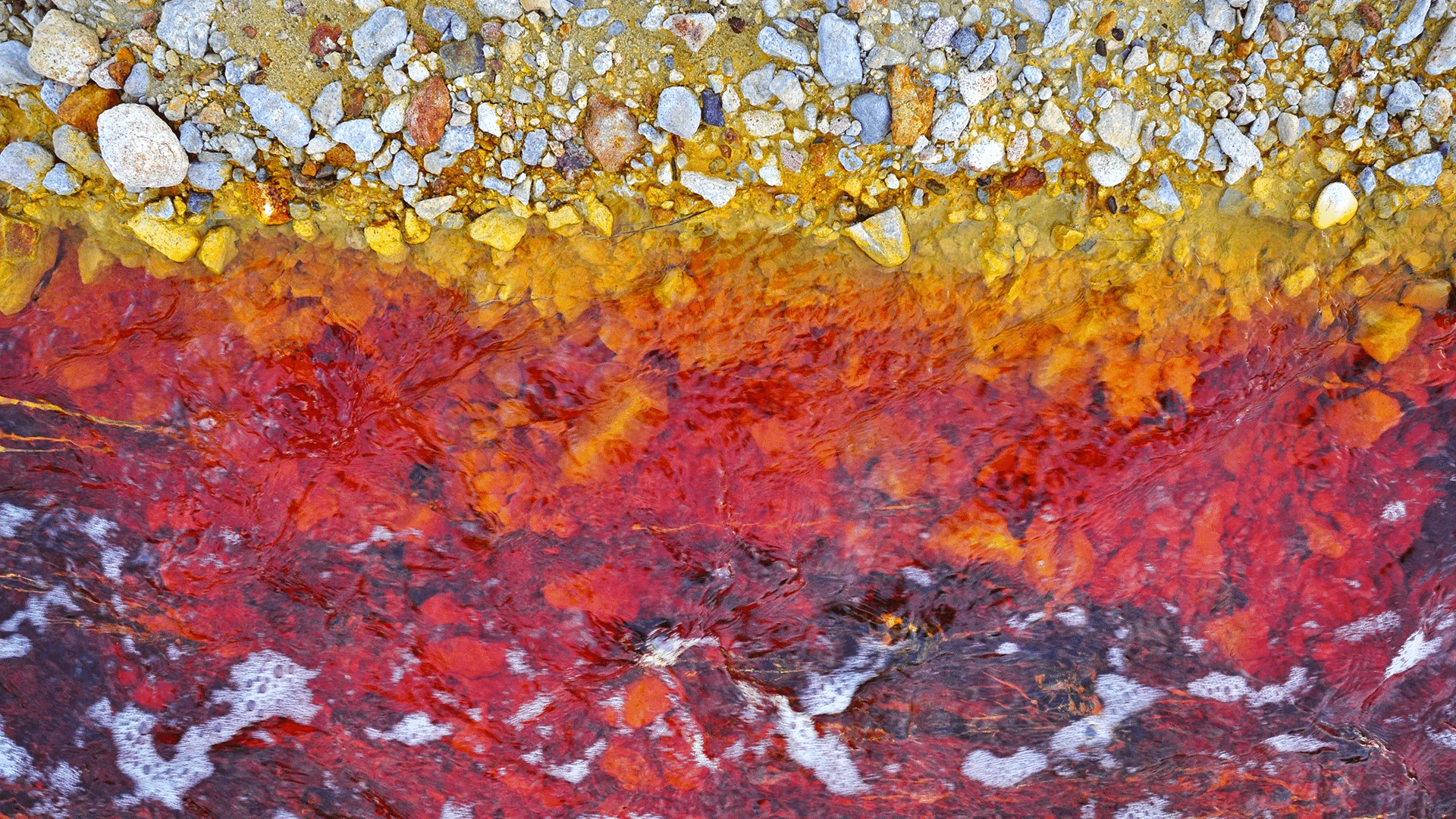 Close-Up View Of Heavily Discolored Water With A Reddish-Brown Hue And Visible Sediment, Indicative Of Pollution From Untreated Wastewater